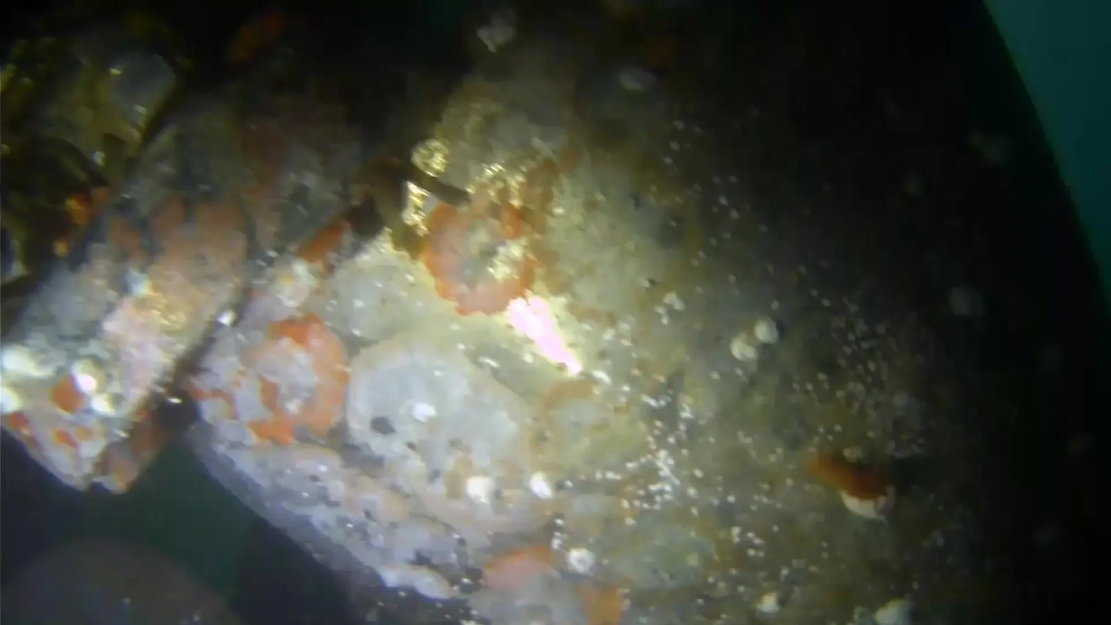 Working light on submerged structure, seen through the DDCS camera